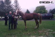 ���� (GA YA) ����