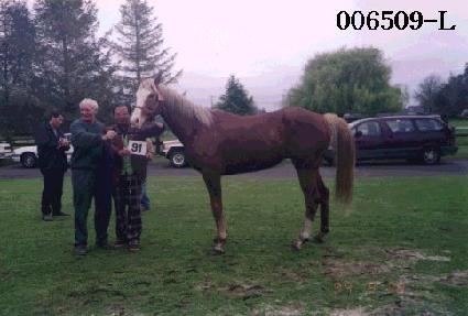 ���� ����