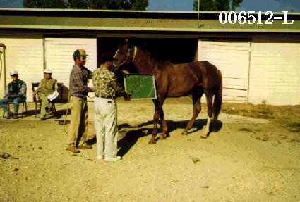 ����Ʈ������Ʈ���� ����