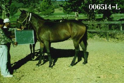 ��ġ�� ����