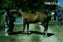 ������Ÿ�� (DOUBLE TALK TIME) ����