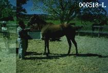 ���̴�ȣ���� (IDAHO��S GAP) ����