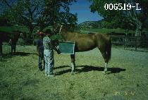 �����ڹ̼� (I��LL TELL MICHELLE) ����