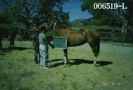 �����ڹ̼� ����