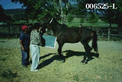 ��������������� ����