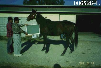 ���ǹ��� ����