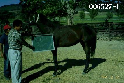 ���ʽ��� ����