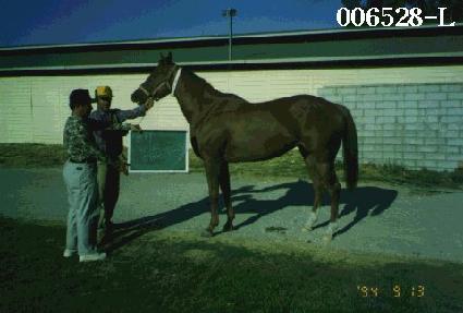 ������̵�̽� ����