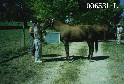 ��Ƽ�ν����̽� ����