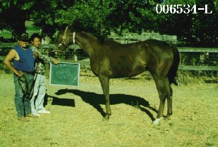 �����̽�Ÿ ����