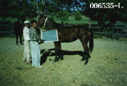 ��ŰƼ��ŷ ����