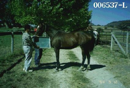 ���Ʈ��Ƽ������ ����