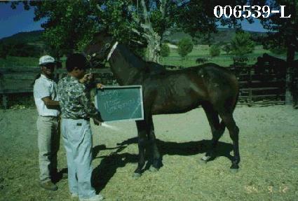 �̽������Ͼƾ� ����