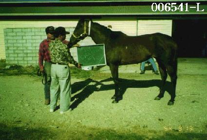 ����Ŭ�������̵� ����