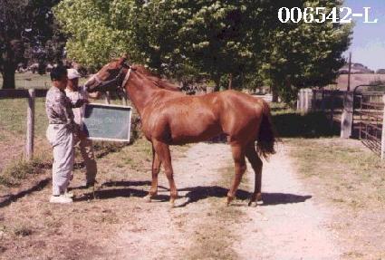 �̸���Ÿ�� ����