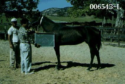 �˽����� ����