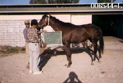 ��������� ����