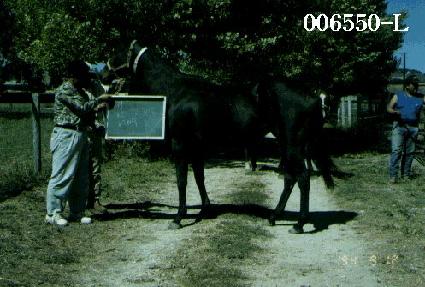 Ű����ŷ ����