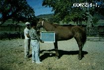 �ø�Ŀ���Ͻ�����Ʈ (FLICKERTAILSTATE) ����