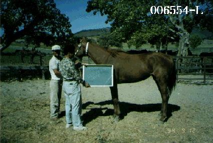 �ø�Ŀ���Ͻ�����Ʈ ����