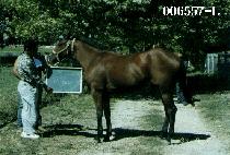 ������巯�� (REMEMBERED LOVE) ����