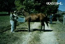 ��ƮǮ��ũ����Ƽ�� (ARTFULLY CRAFTED) ����