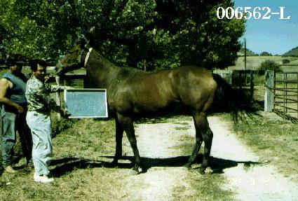 Ÿ�Ӹ����и� ����