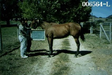 �ٷδϽ��ٹ� ����