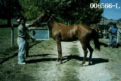 ���Ľ��縮����Ʈ ����