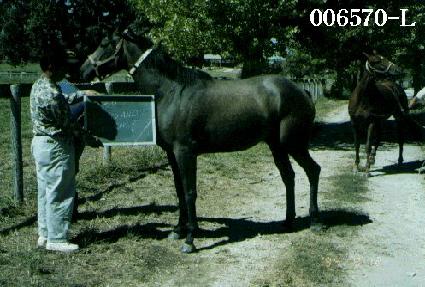 �������츮 ����