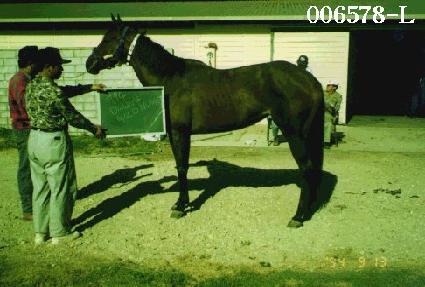 �������ʱ� ����