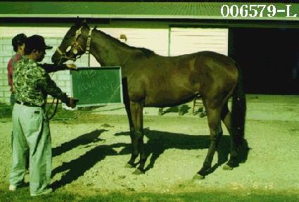 �ÿ�������Ϸ�Ʈ ����