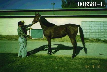 �������� ����