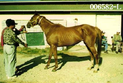 �ٷ���Ʈ ����