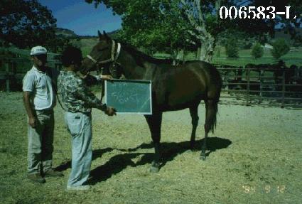 ���𽺴���Ʈ ����