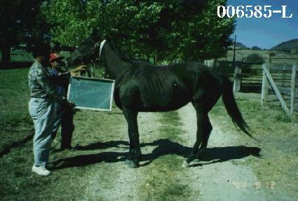 �������ũ ����