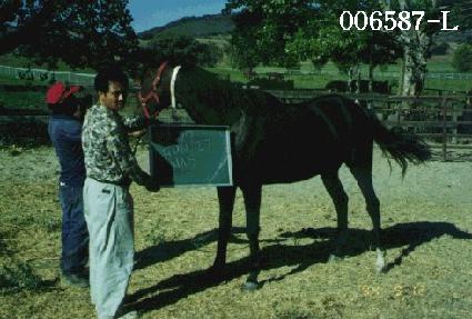 ���տ��� ����