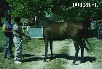 �����ǹٺ� (B. HAPPY BABEE) ����