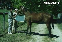 �ʷ������� (PHILENA MARIE) ����