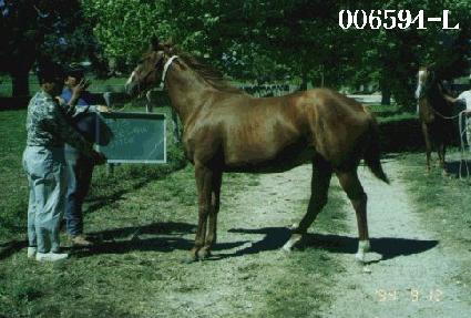 ���̽����Ž����̽� ����