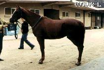 ������ (MA GOON DAN) ����