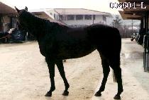 õ���� (CHEON SU GYEONG) ����