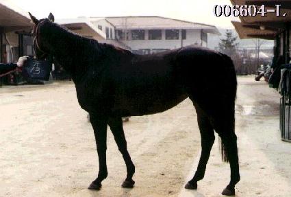 õ���� ����