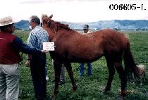 ����� (BONG WOON SA) ����