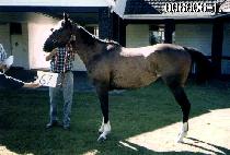 ��Ű���� (LUCKY SEOUL) ����