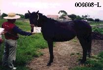 ��� (GI SANG) ����