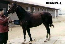 �¾�� (TAE YANG BIT) ����