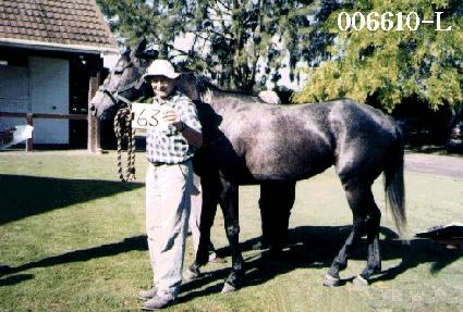 �ĸӽ� ����