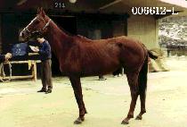 �ȵ����� (PAL DO JE IL) ����