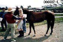 û���� (CHEONG BONG SAN) ����